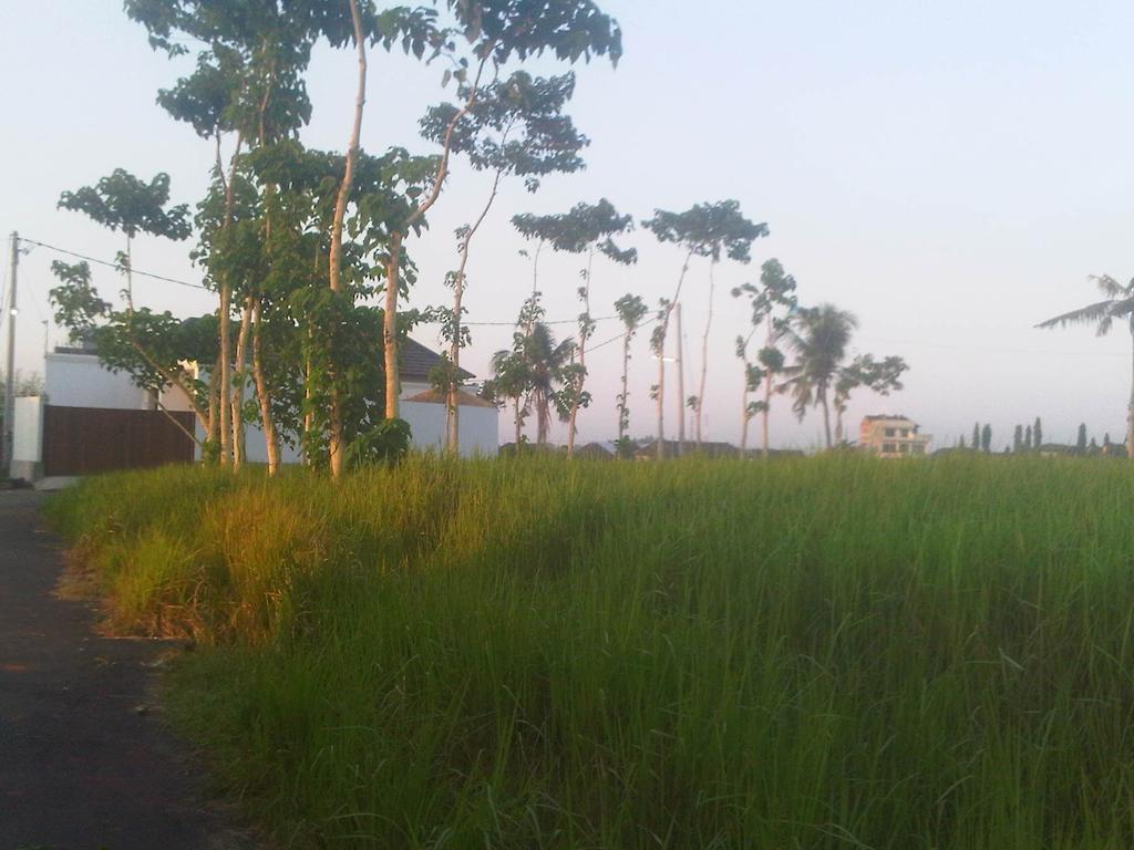 Villa Anandani Ubud Exteriör bild